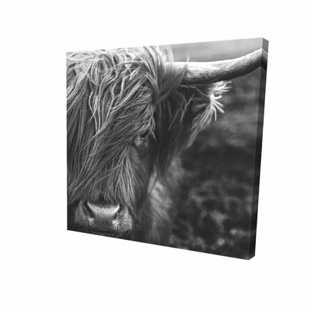 BEGIN HOME DECOR 12 x 12 in. Monochrome Portrait Highland Cow-Print on Canvas 2080-1212-PH1-1-CR